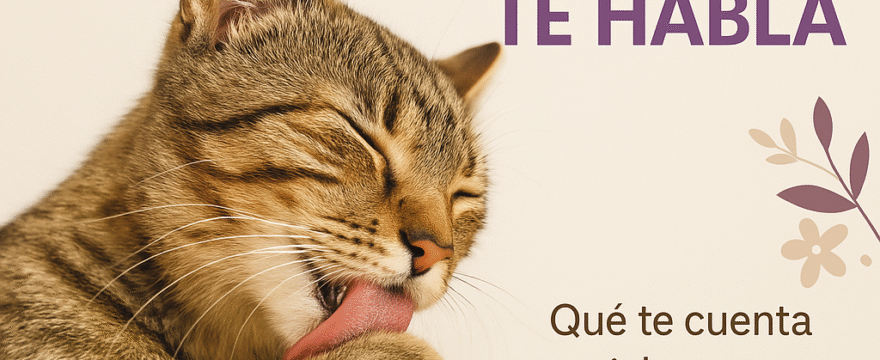 La piel de tu gato habla nueva portada