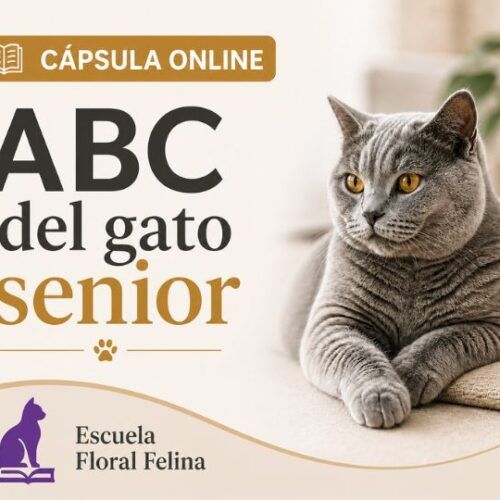 ABC DE TU GATO SENIOR